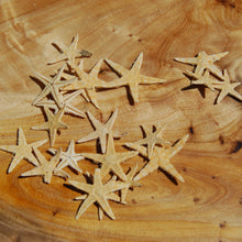 Load image into Gallery viewer, Tiny Natural Dried Starfish .75&quot; to 1&quot;
