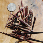 Tiger Urchin Spines Purple