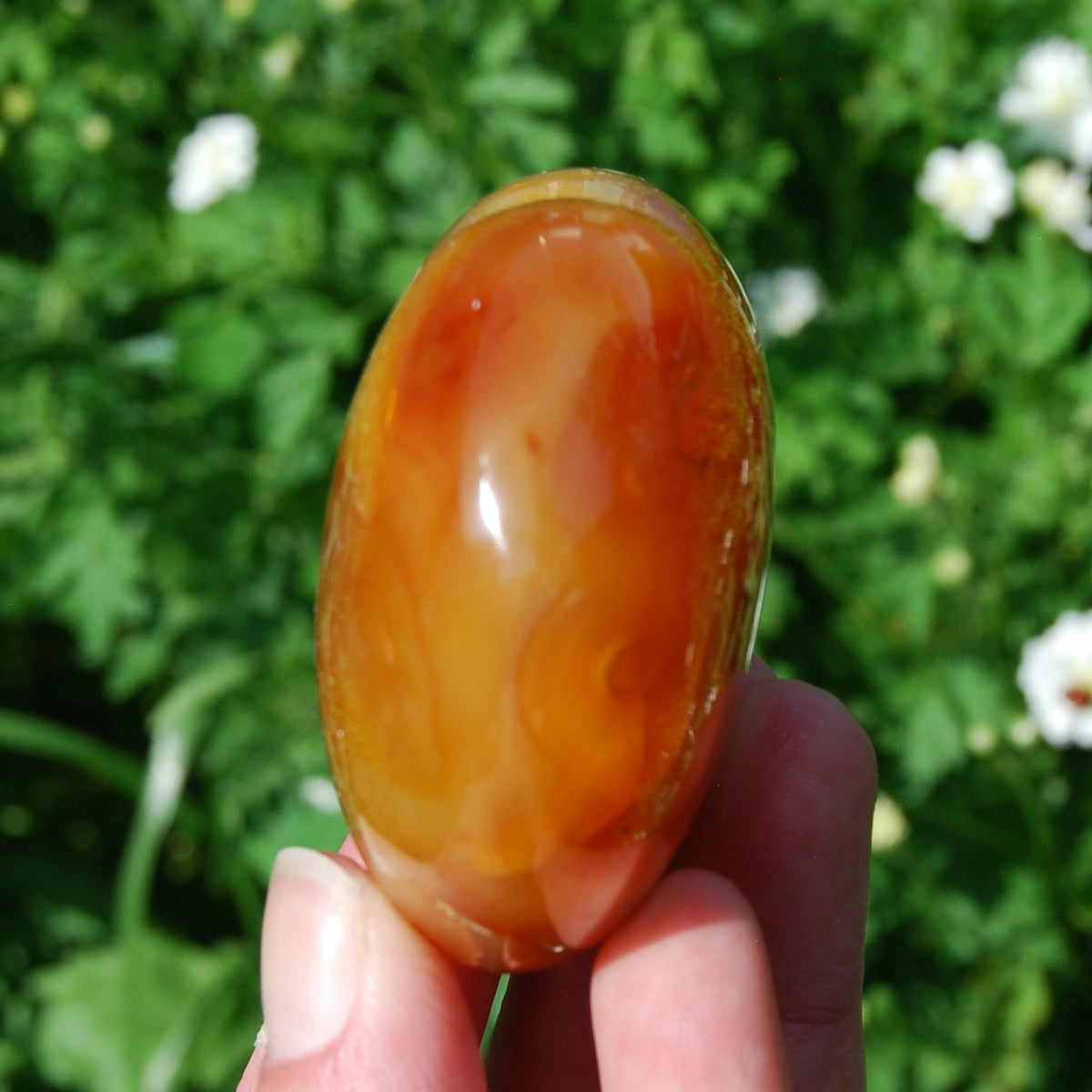 Carnelian Heart Shaped Crystal Palm Stone 