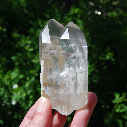 Limonite Lemurian Seed Quartz Crystal Starbrary