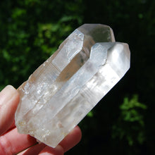 Load image into Gallery viewer, Limonite Lemurian Seed Quartz Crystal Starbrary
