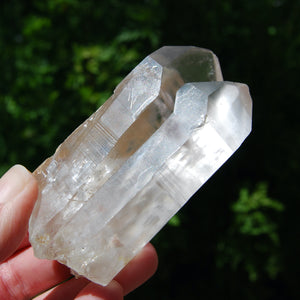 Limonite Lemurian Seed Quartz Crystal Starbrary