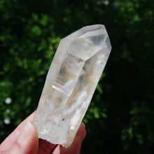 Load image into Gallery viewer, Limonite Lemurian Seed Quartz Crystal Starbrary
