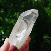 Load image into Gallery viewer, Limonite Lemurian Seed Quartz Crystal Starbrary
