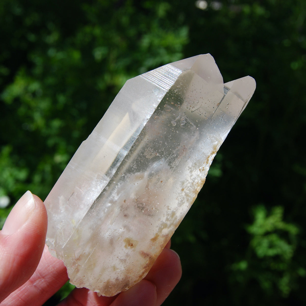 Limonite Lemurian Seed Quartz Crystal Starbrary
