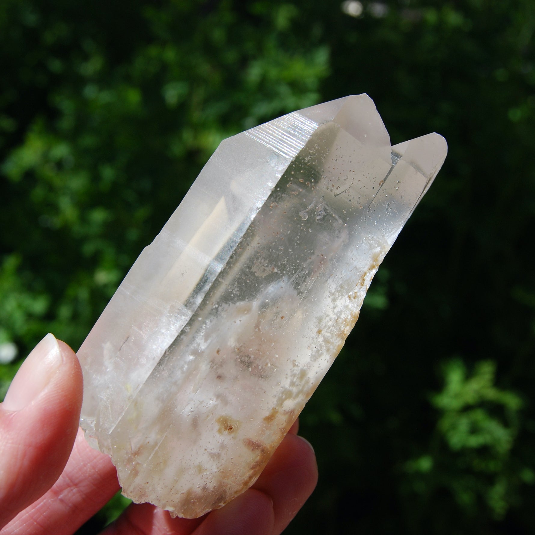 Limonite Lemurian Seed Quartz Crystal Starbrary