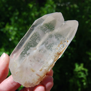 Limonite Lemurian Seed Quartz Crystal Starbrary