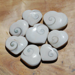 Operculum Shell Heart Eye of Shiva Pacific Cat's Eye