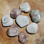 Operculum Shell Heart Eye of Shiva Pacific Cat's Eye