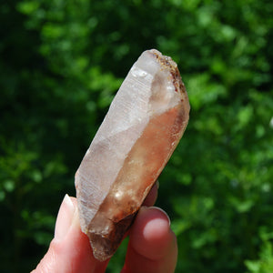  Raw Amphibole Quartz Crystal from Brazil