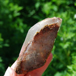  Raw Amphibole Quartz Crystal from Brazil