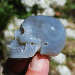 Grey Agate Carved Crystal Skull Realistic Gemstone Carving