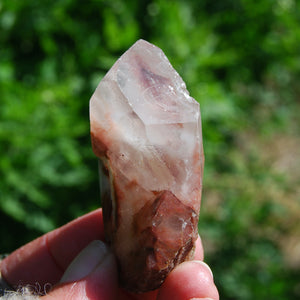 Raw Amphibole Quartz Crystal Point from Brazil