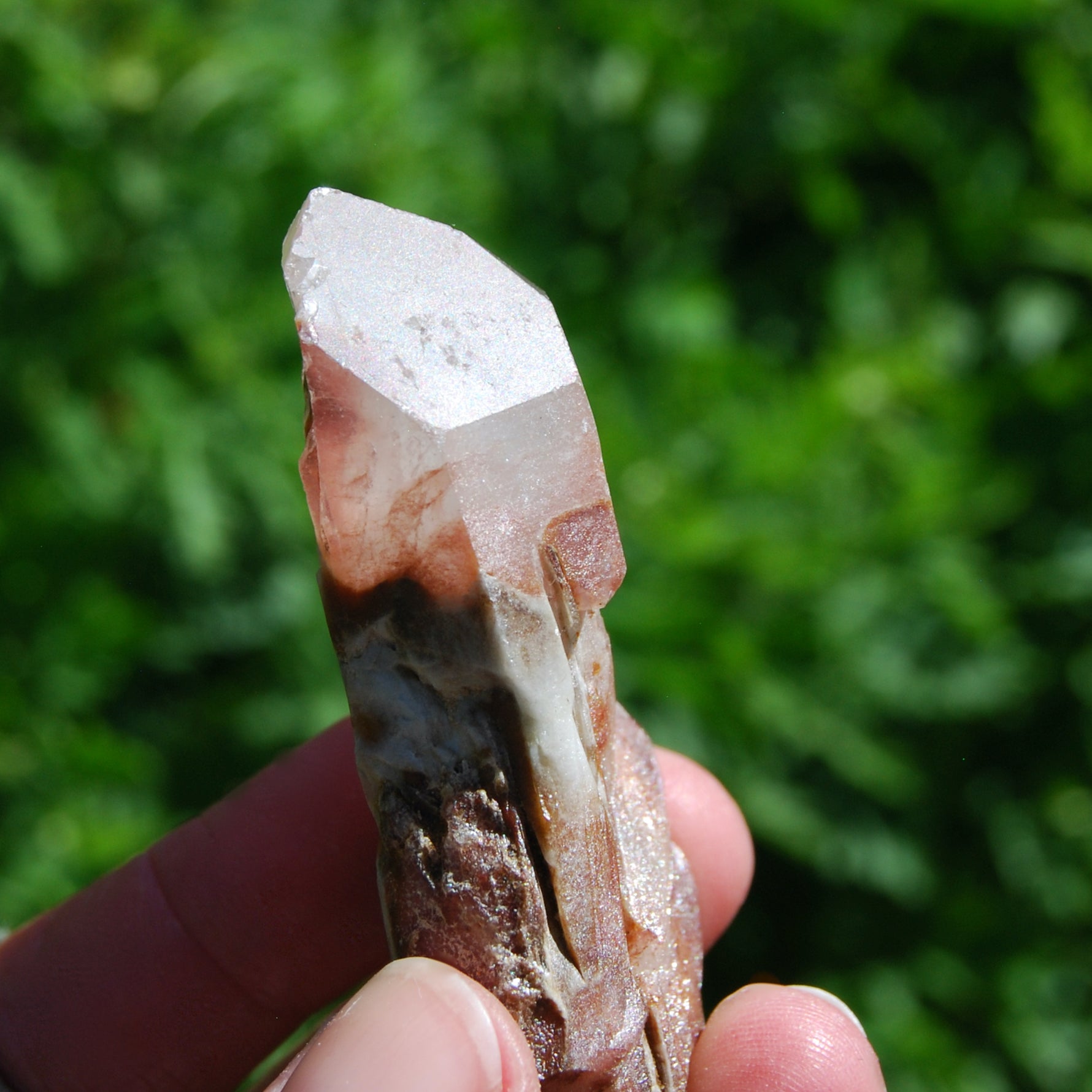 Raw Amphibole Quartz Crystal Point from Brazil