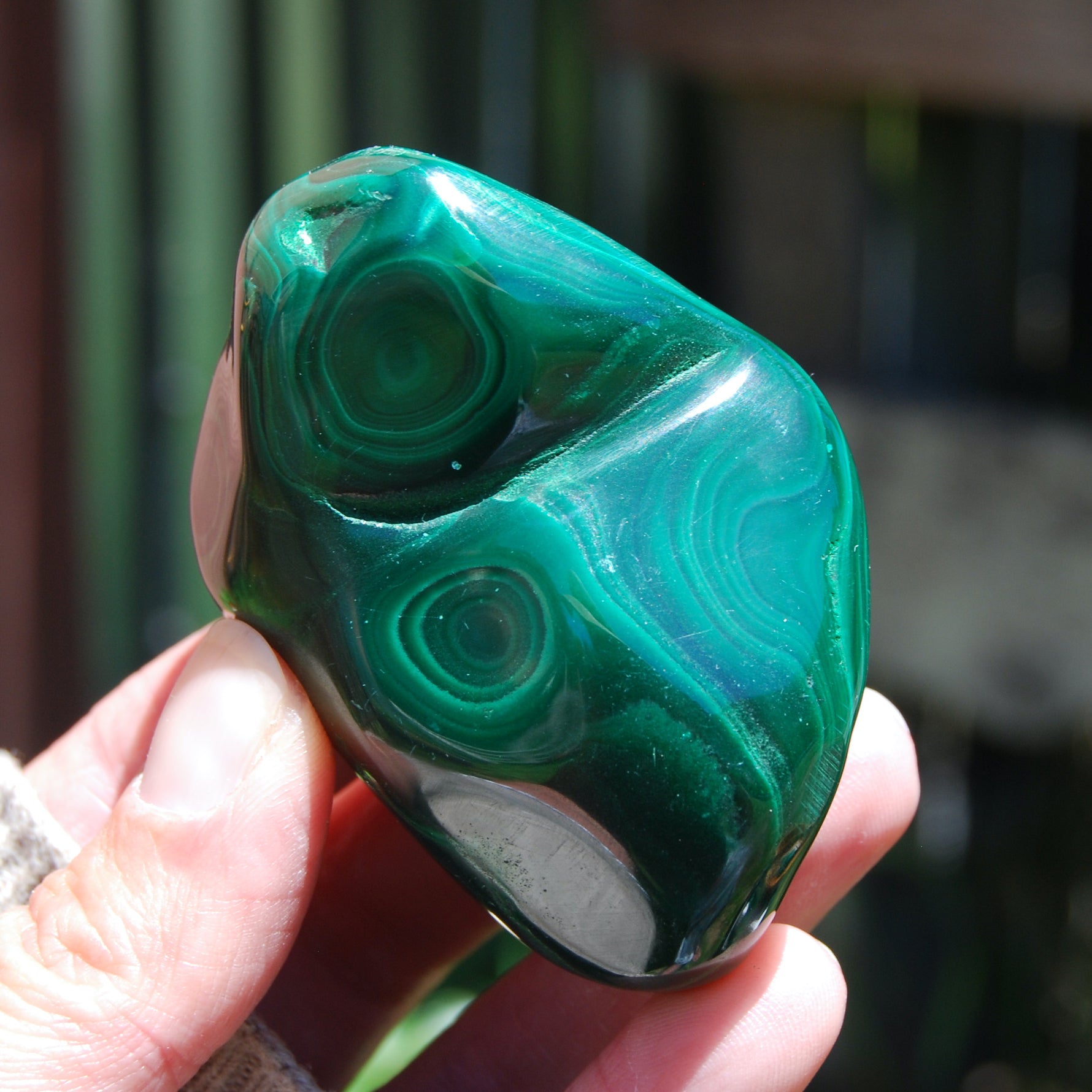 Natural Malachite Crystal Palm Stone Free Form Congo 