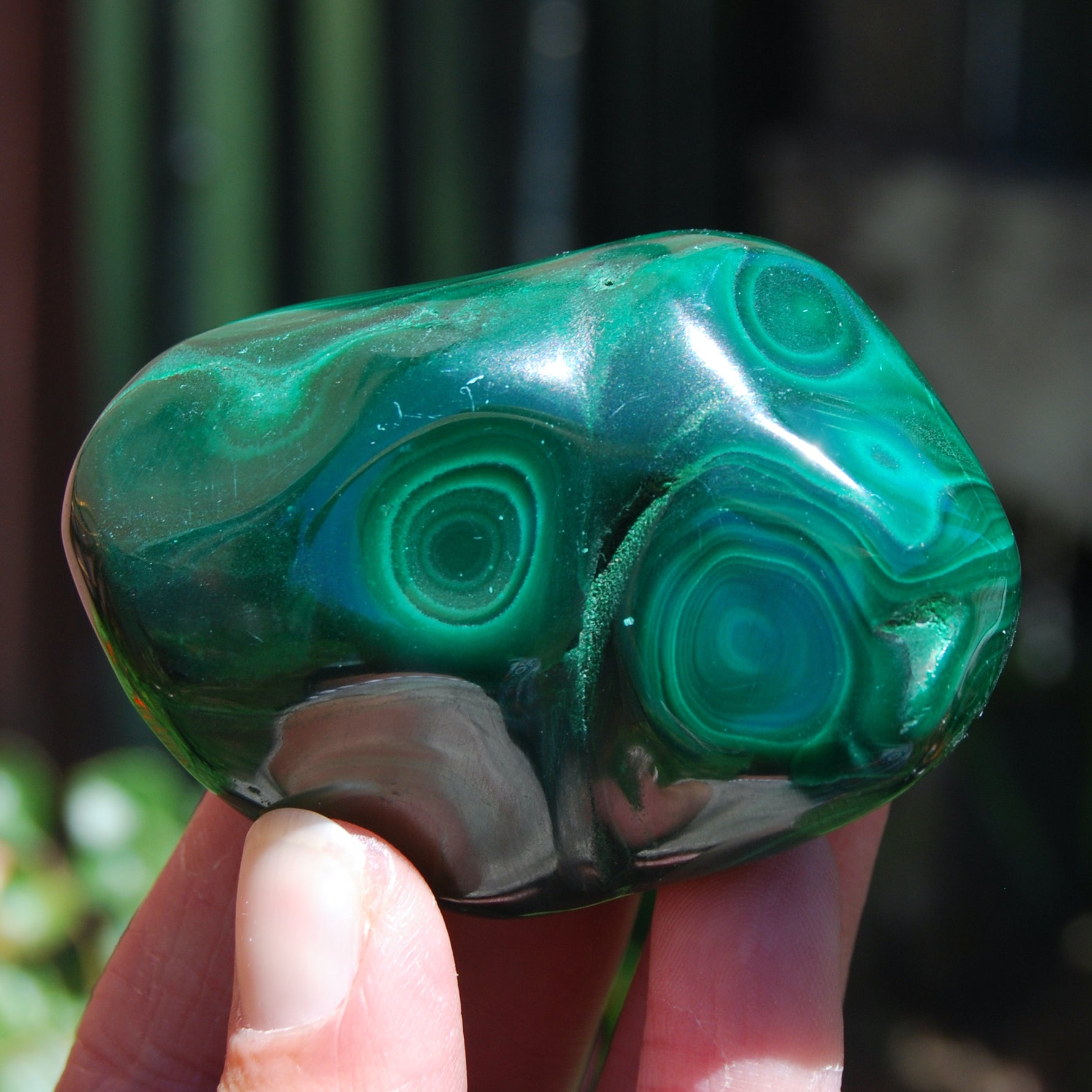 Natural Malachite Crystal Palm Stone Free Form Congo 