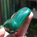 Natural Malachite Crystal Palm Stone Free Form Congo 