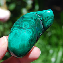 Load image into Gallery viewer, Large Natural Malachite Crystal Palm Stone Botryoidal Free Form Congo
