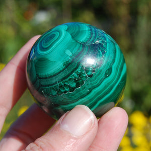 Natural Malachite Crystal Sphere 254g 2"