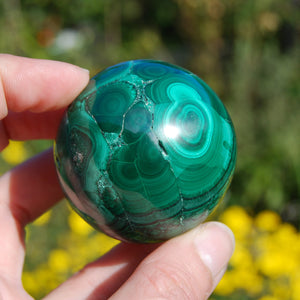 Natural Malachite Crystal Sphere 254g 2"