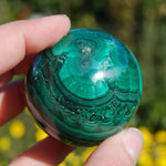 Natural Malachite Crystal Sphere 254g 2"