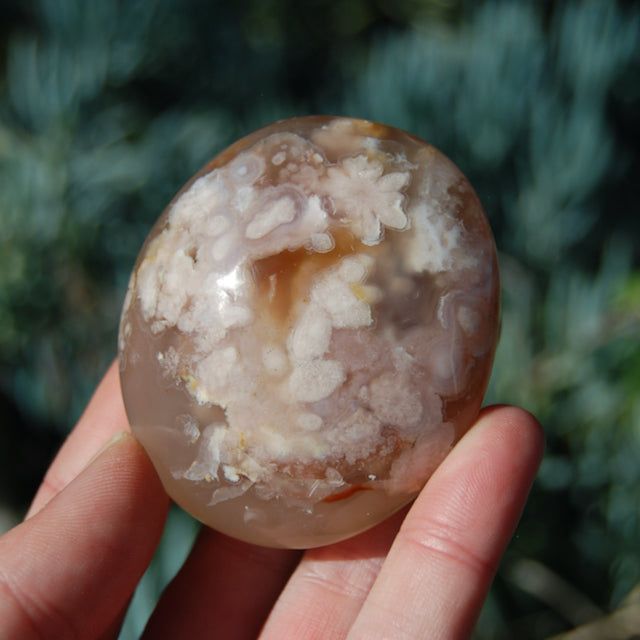 Flower Agate Sakura Agate Crystal Palm Stone