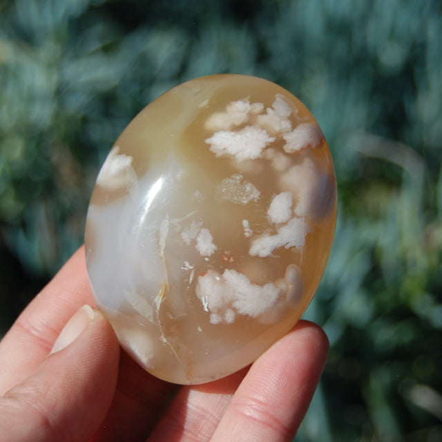 Flower Agate Sakura Agate Crystal Palm Stone