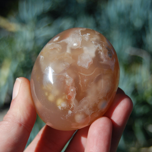 Flower Agate Sakura Agate Crystal Palm Stone