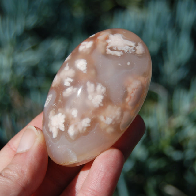 Flower Agate Sakura Agate Crystal Palm Stone