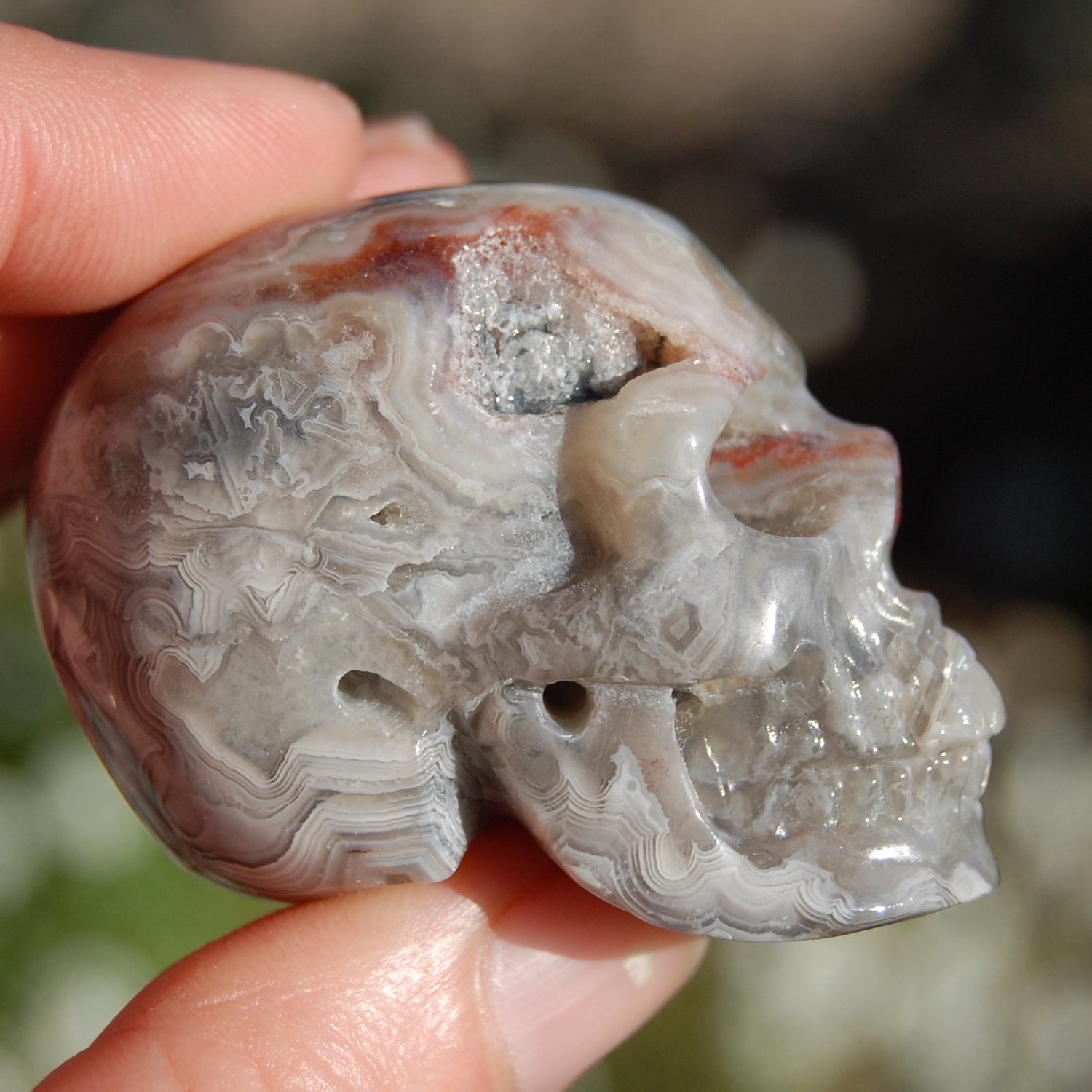 Laguna Lace Agate Carved Crystal Skull Realistic Gemstone Carving 