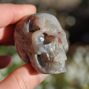 Laguna Lace Agate Carved Crystal Skull Realistic Gemstone Carving 