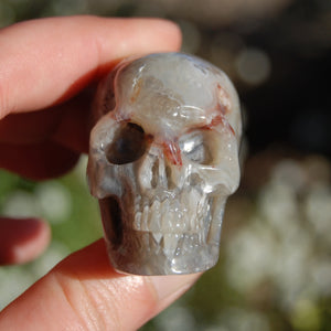 Laguna Lace Agate Carved Crystal Skull Realistic Gemstone Carving 