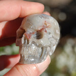Laguna Lace Agate Carved Crystal Skull Realistic Gemstone Carving 