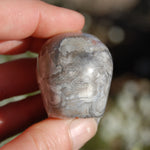 Laguna Lace Agate Carved Crystal Skull Realistic Gemstone Carving 