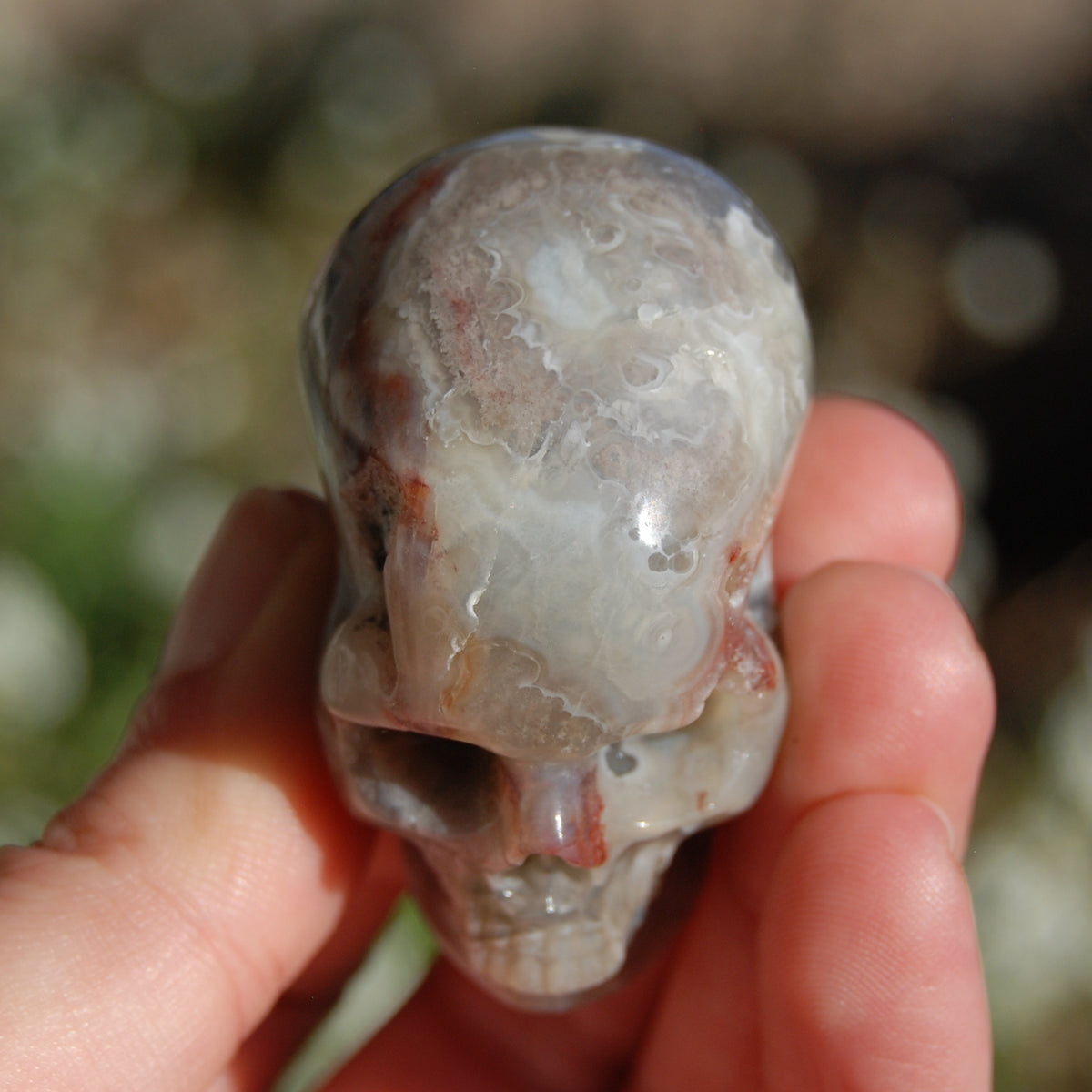 Laguna Lace Agate Carved Crystal Skull Realistic Gemstone Carving 