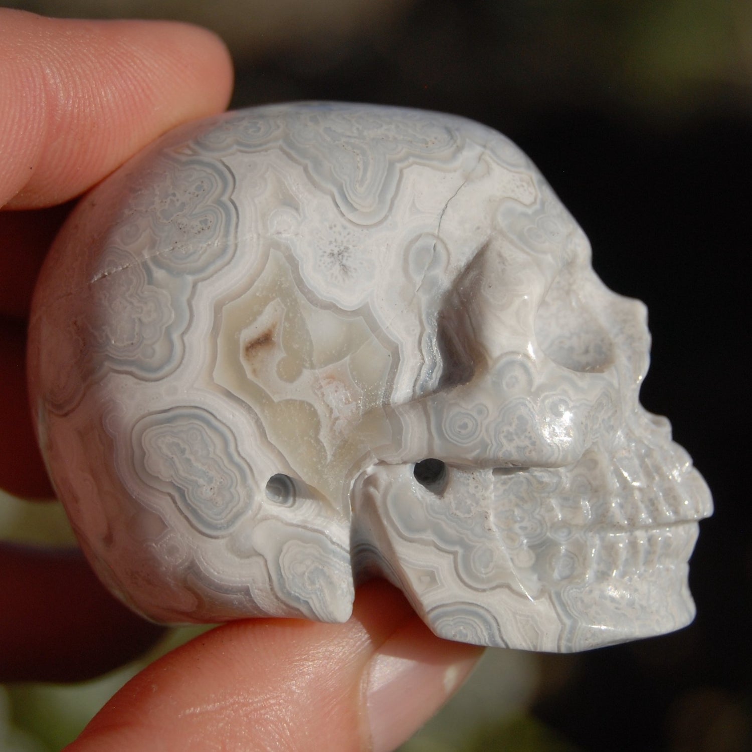 Laguna Lace Agate Carved Crystal Skull Realistic Gemstone Carving