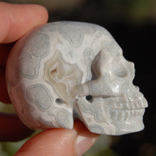 Load image into Gallery viewer, Laguna Lace Agate Carved Crystal Skull Realistic Gemstone Carving
