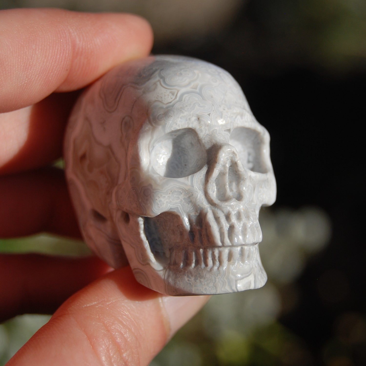 Laguna Lace Agate Carved Crystal Skull Realistic Gemstone Carving