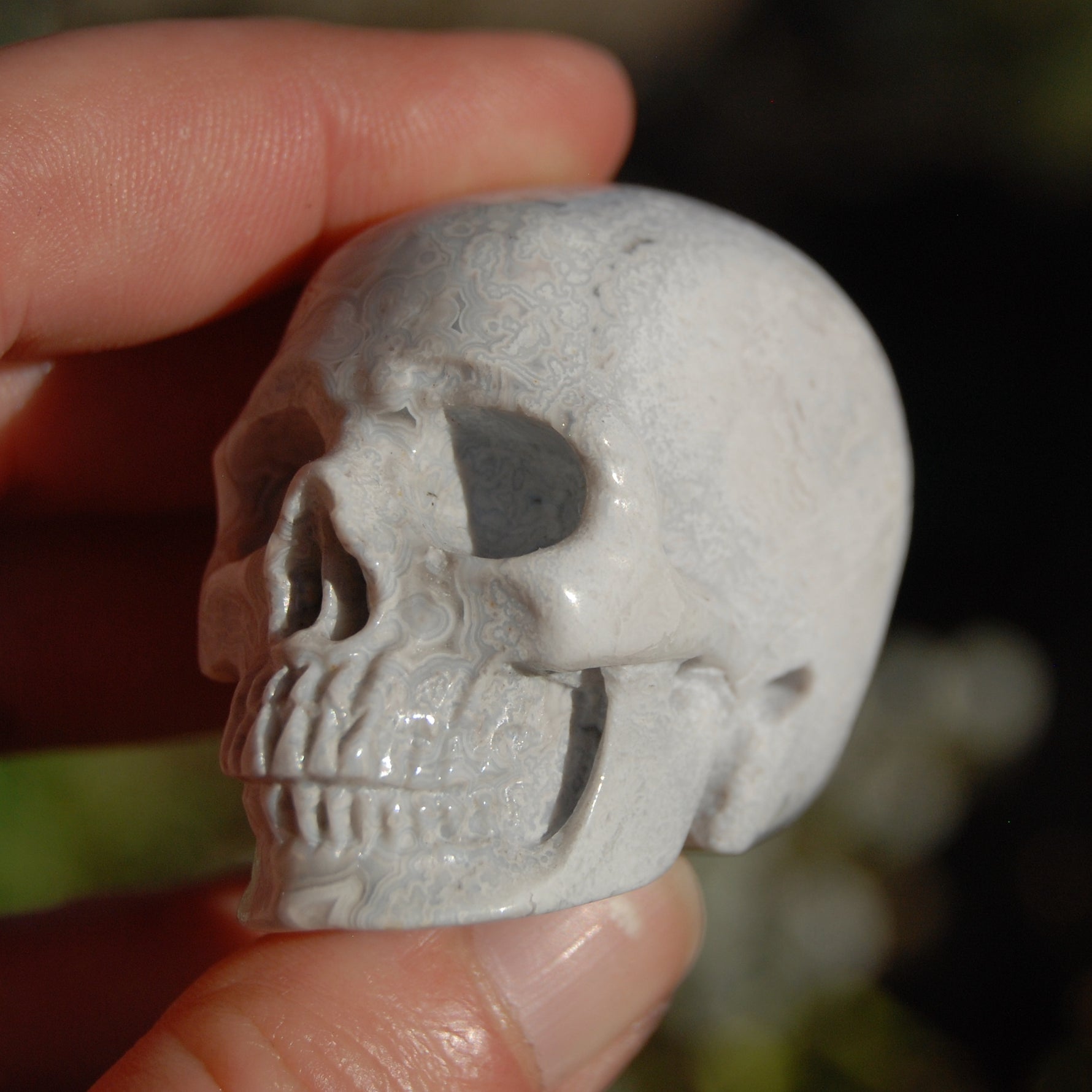 Laguna Lace Agate Carved Crystal Skull Realistic Gemstone Carving