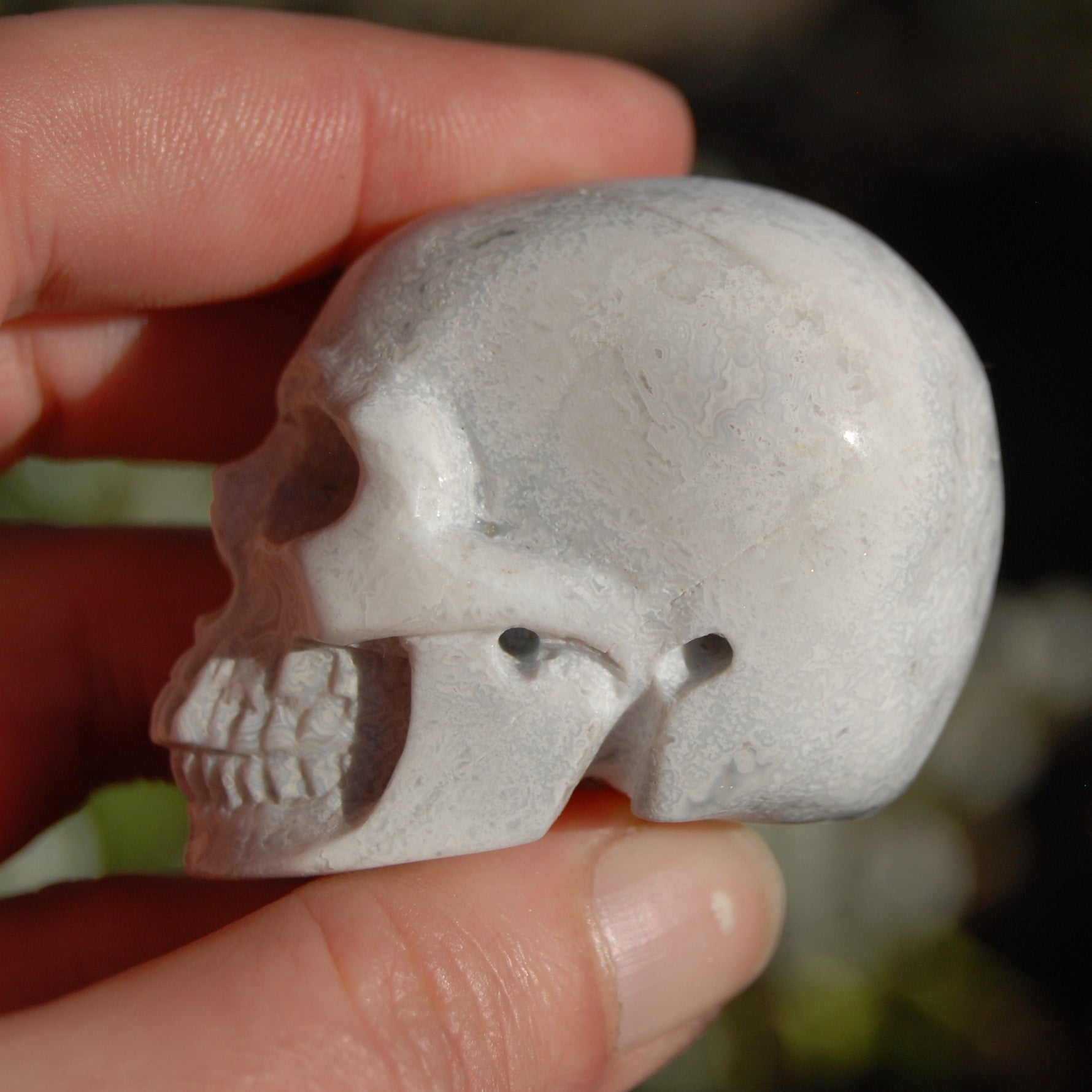 Laguna Lace Agate Carved Crystal Skull Realistic Gemstone Carving