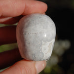 Laguna Lace Agate Carved Crystal Skull Realistic Gemstone Carving