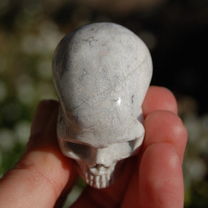 Laguna Lace Agate Carved Crystal Skull Realistic Gemstone Carving