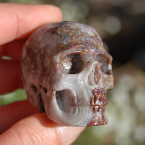 Pietersite Carved Crystal Skull Realistic Gemstone Carving