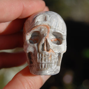 Laguna Lace Agate Geode Carved Crystal Skull Realistic Gemstone Carving