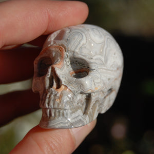 2in Laguna Lace Agate Geode Carved Crystal Skull, Realistic Gemstone Carving