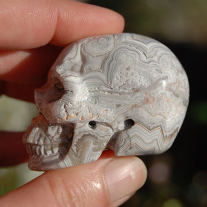 2in Laguna Lace Agate Geode Carved Crystal Skull, Realistic Gemstone Carving