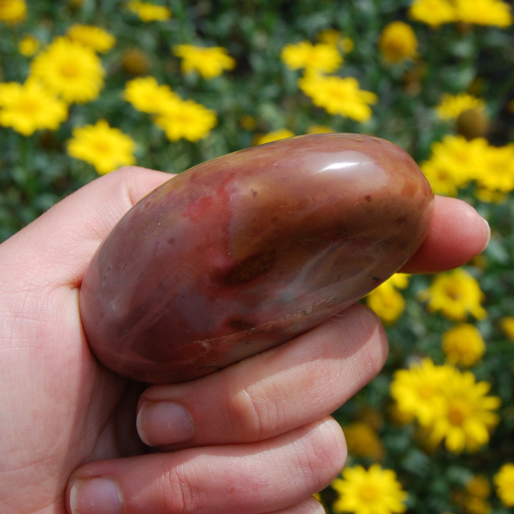 Polychrome Jasper Carved Crystal Palm Stone 180g 3"