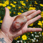 Polychrome Jasper Carved Crystal Palm Stone 180g 3"