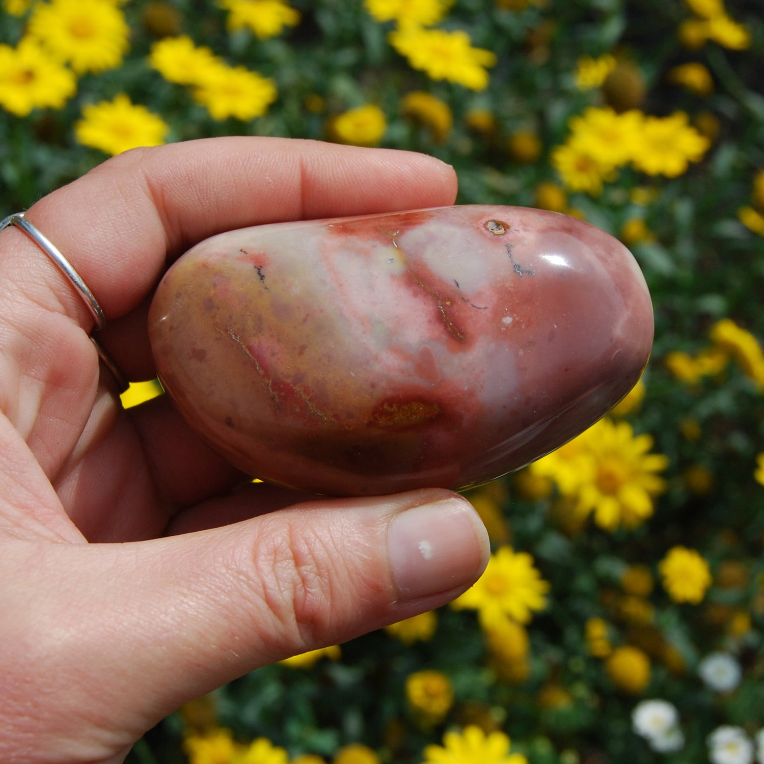Polychrome Jasper Carved Crystal Palm Stone 180g 3"