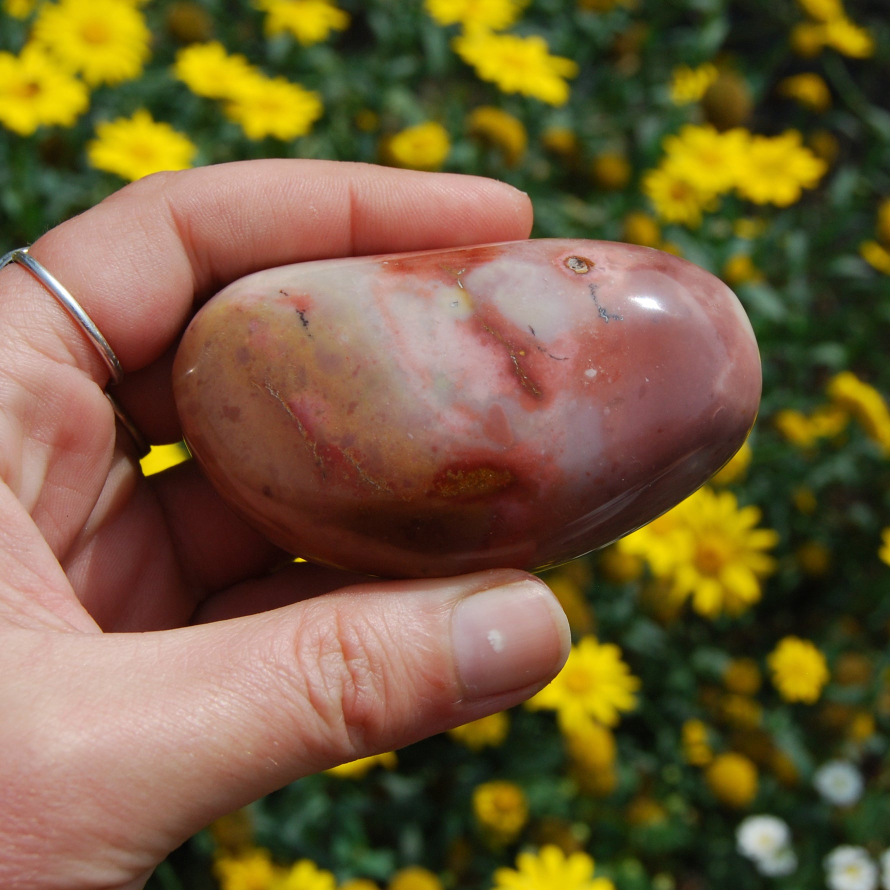 Polychrome Jasper Carved Crystal Palm Stone 180g 3"